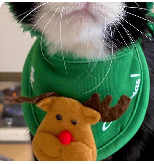 🎄 Cozy Christmas Cat Outfit Set – Hat, Scarf & Fuzzy Jacket