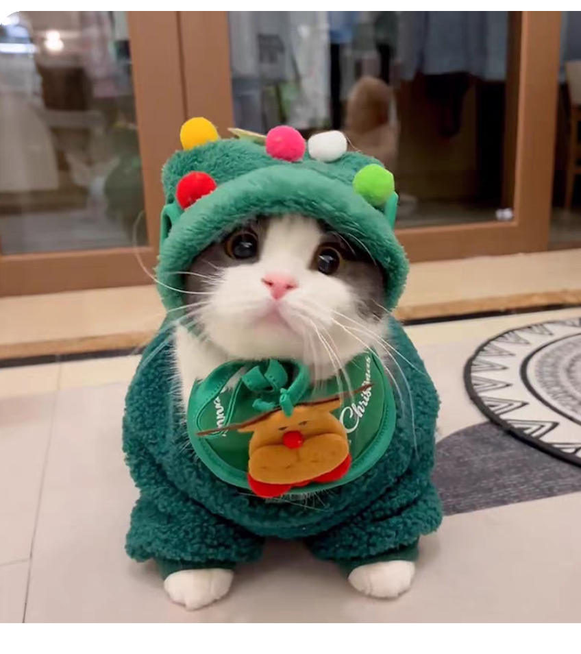 🎄 Set di abiti natalizi per gatti: cappello e sciarpa & Giacca pelosa