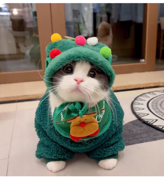 🎄 Hyggeligt julekatte-outfitsæt – hue, halstørklæde & Fuzzy Jakke